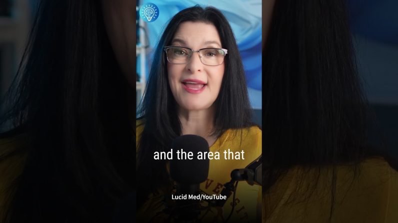 1765445097 maxresdefault