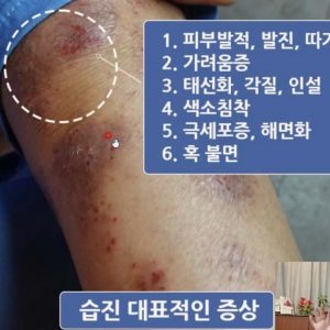 1765448822 maxresdefault