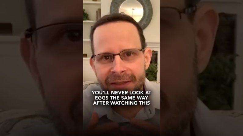 1765451285 maxresdefault