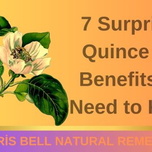 1765454949 maxresdefault