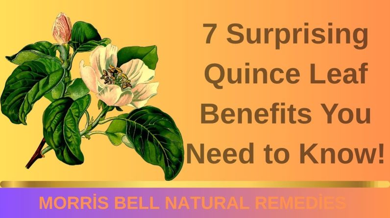 1765454949 maxresdefault