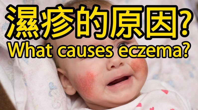 1765456215 maxresdefault