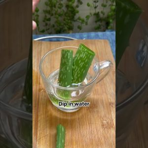 1765463413 maxresdefault