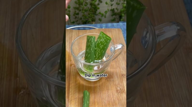 1765463413 maxresdefault