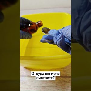 1765469711 maxresdefault