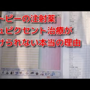 1765486387 hqdefault