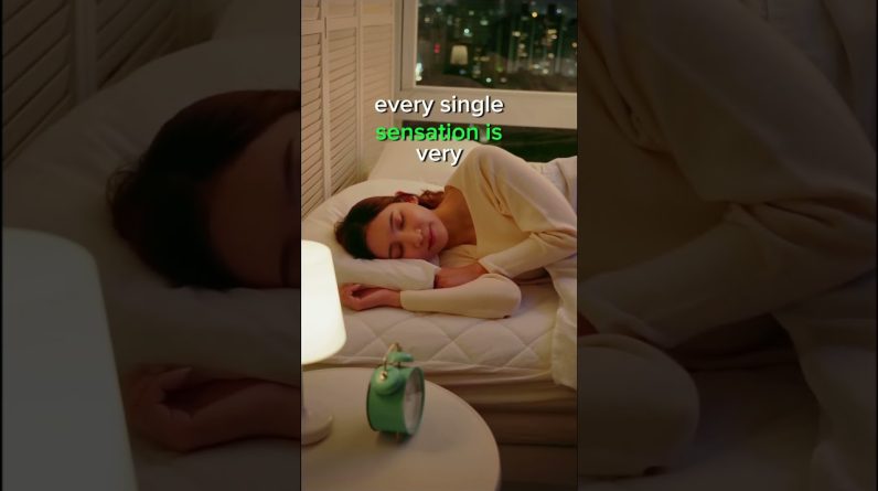 1765492796 maxresdefault