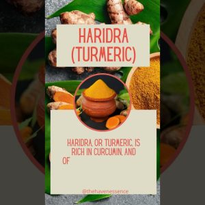 1765497355 maxresdefault