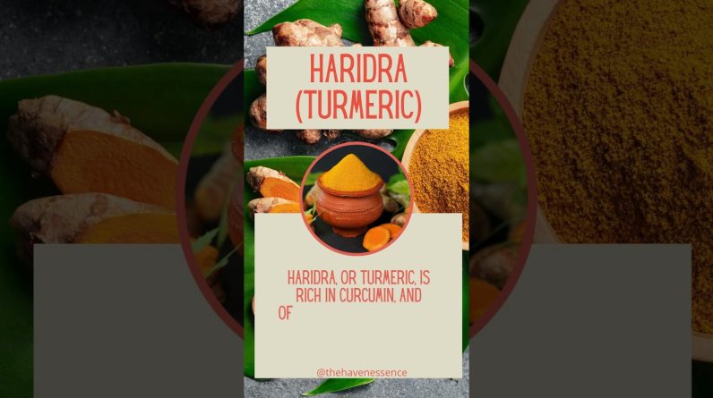 1765497355 maxresdefault