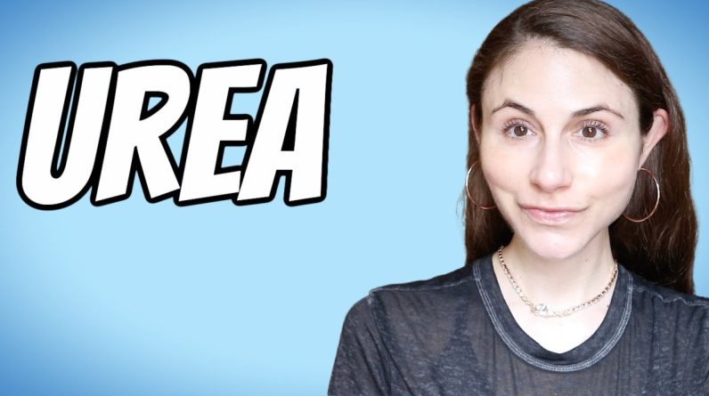 1765502635 maxresdefault