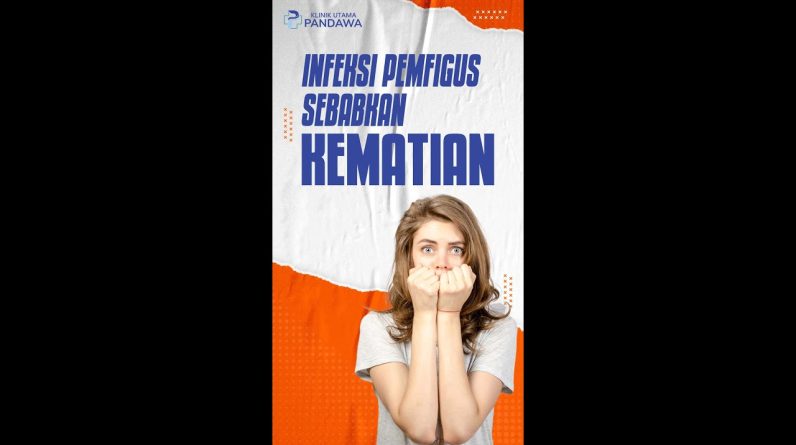 1765520704 maxresdefault