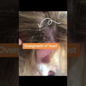 1765520938 hqdefault