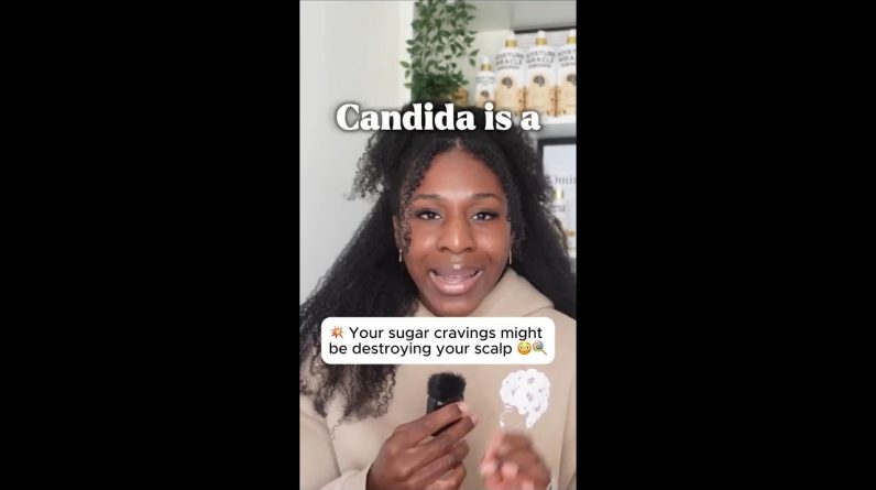 1765531922 maxresdefault