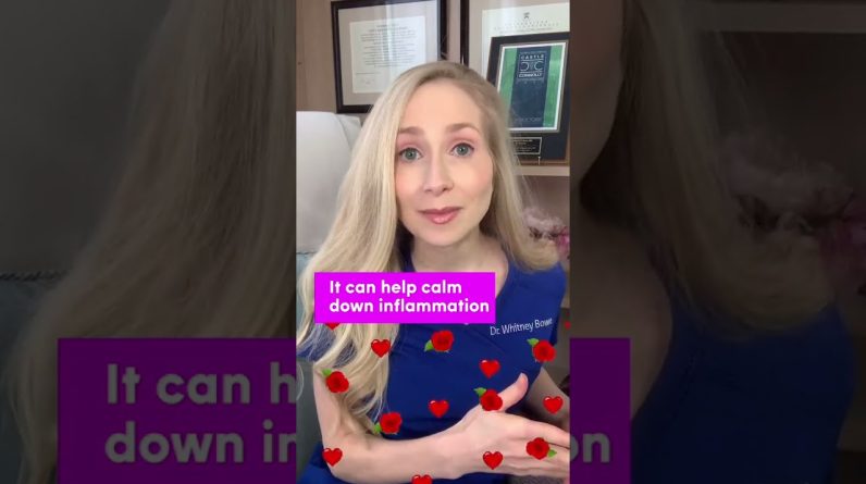 1765535562 maxresdefault