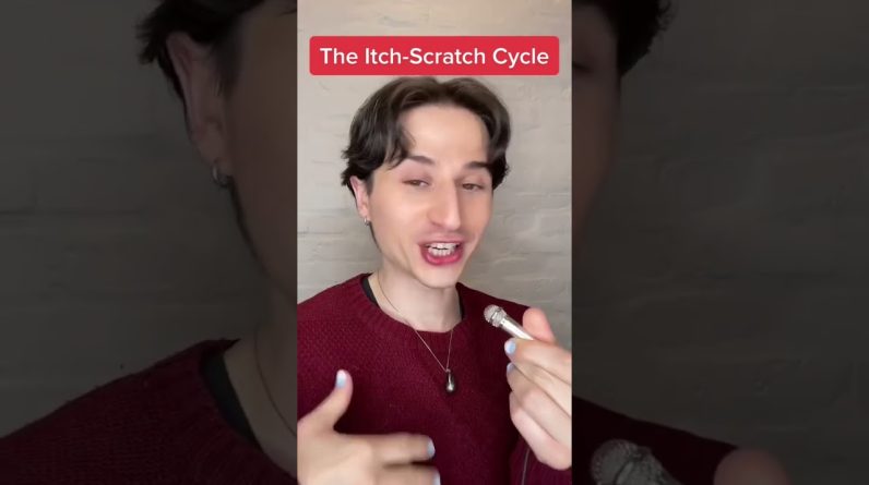 1765539196 maxresdefault