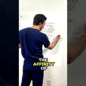 1765542835 maxresdefault