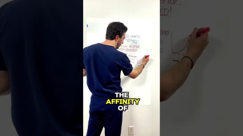 1765542835 maxresdefault