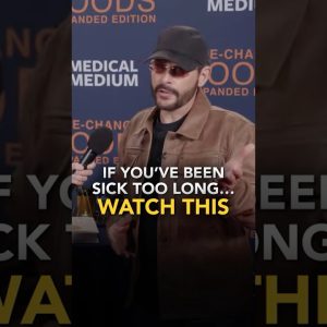 1765544255 maxresdefault