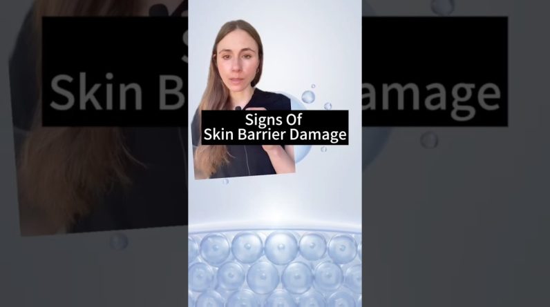 1765550166 maxresdefault