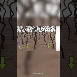 1765551463 maxresdefault