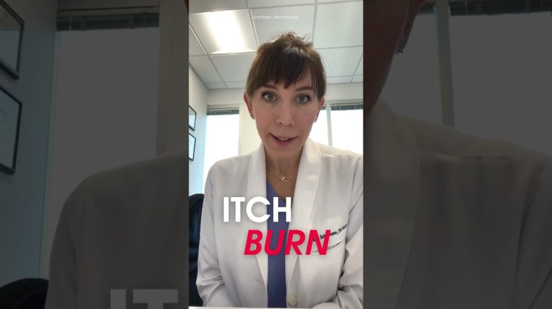 1765566144 maxresdefault