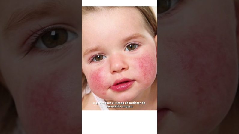 1765573202 maxresdefault