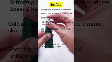 1765576074 maxresdefault