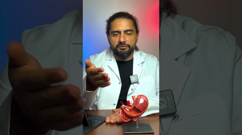 1765580755 maxresdefault