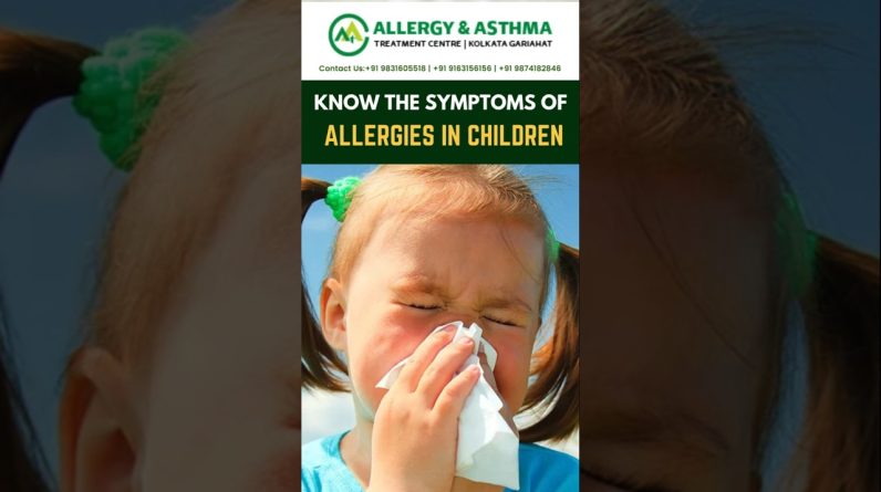 1765587834 maxresdefault