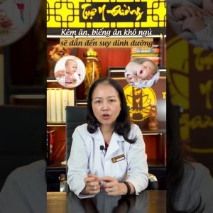 1765593962 maxresdefault