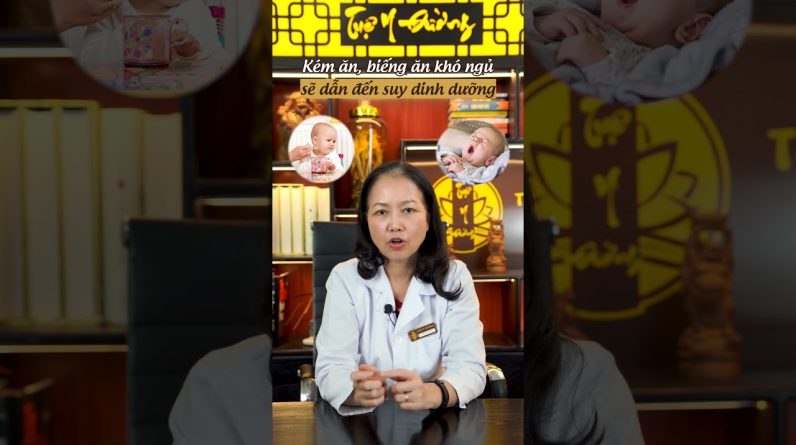 1765593962 maxresdefault