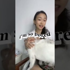 1765601441 maxresdefault