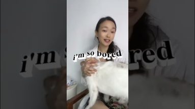 1765601441 maxresdefault