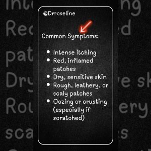 1765605145 maxresdefault