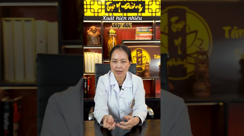 1765608666 maxresdefault