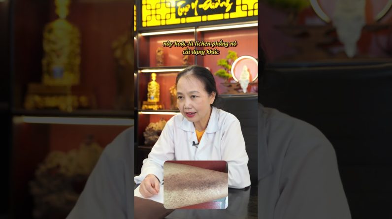 1765612353 maxresdefault