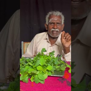 1765613655 maxresdefault