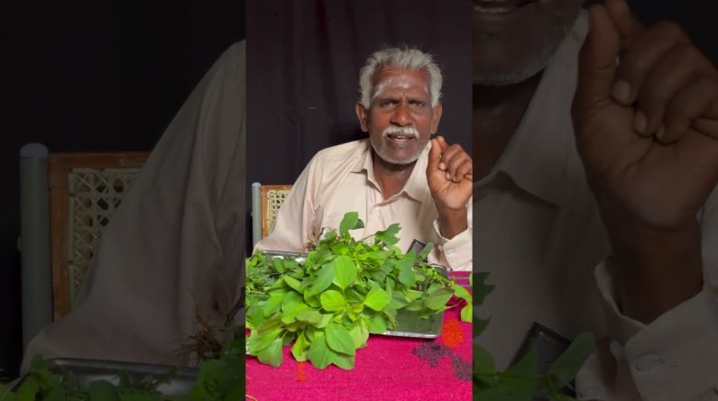 1765613655 maxresdefault