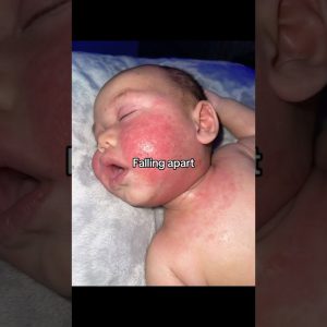 1765642806 maxresdefault