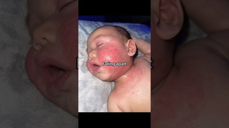 1765642806 maxresdefault