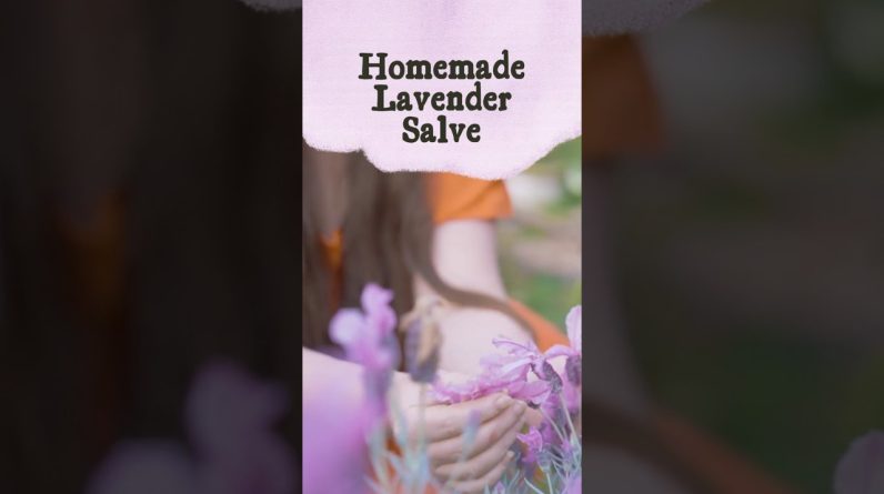 1765646455 maxresdefault