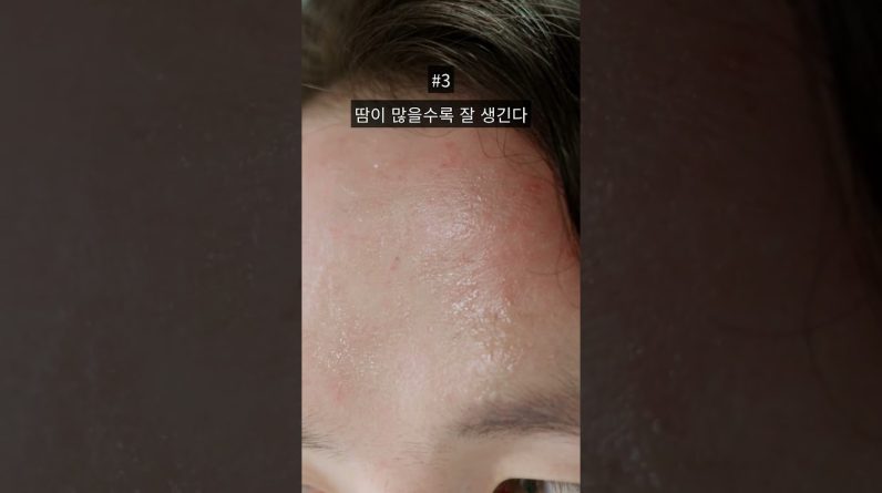 1765648980 maxresdefault