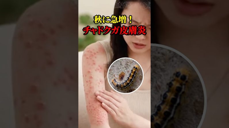 1765652641 maxresdefault