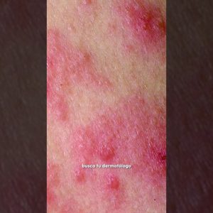 1765654823 maxresdefault