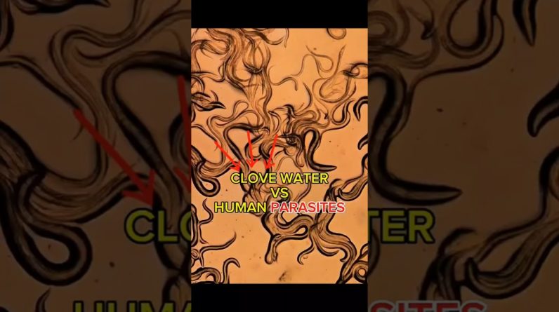 1765664771 maxresdefault