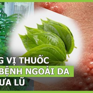 1765678329 maxresdefault