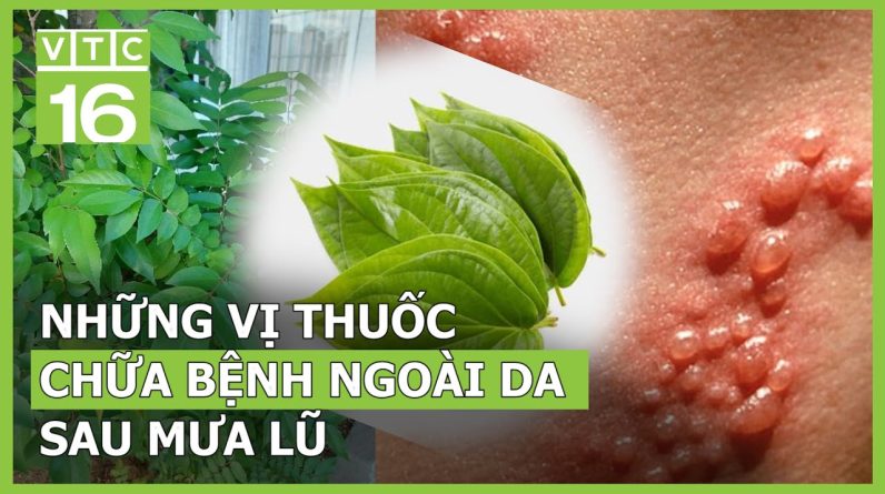 1765678329 maxresdefault