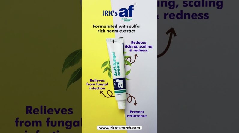 1765679525 maxresdefault