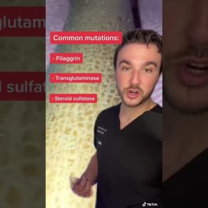 1765729693 maxresdefault