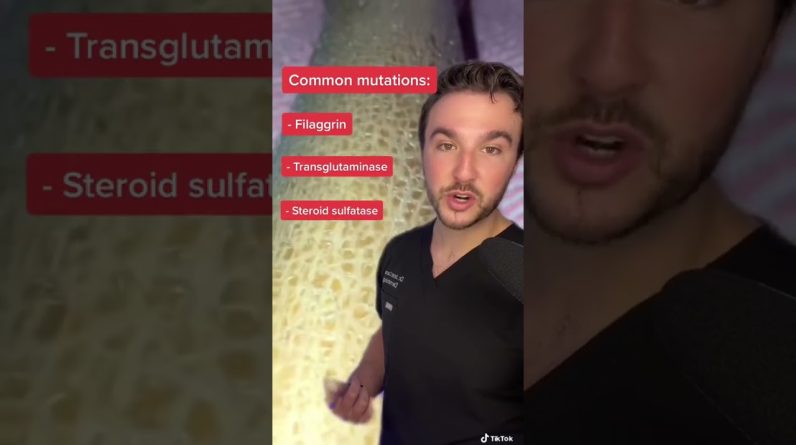 1765729693 maxresdefault